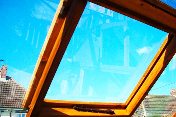 close up angled internal view of greenhouse glass