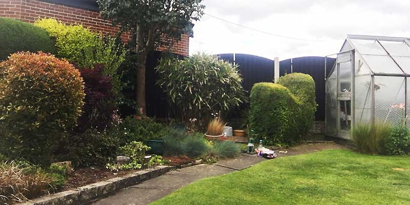 distance corner view of stunning garden consisting of neatly trimmed shrubs and bushes and a perfectly cut lawn maintained by property maintenance sheffields gardener